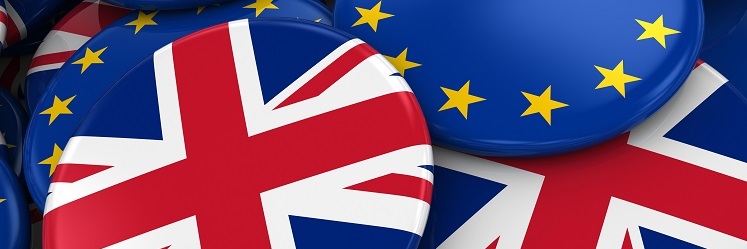 brexbanner