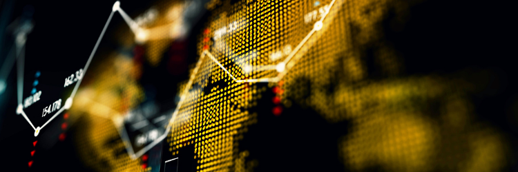 Capital and Liquidity Management in an Emerging Market _Header