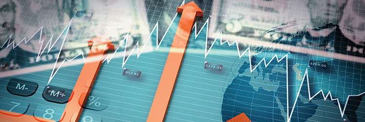 Cost of Capital Survey